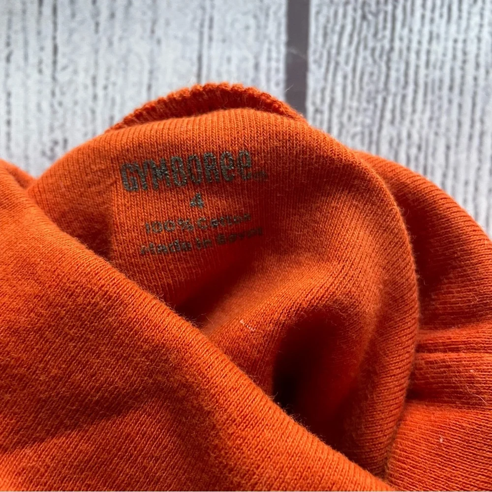 Gymboree Grey Jumper with Orange Turtleneck Size 4